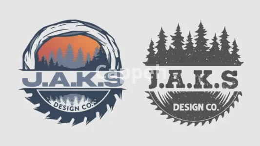 I will design your companys vision