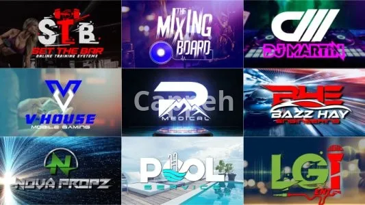 I will create a timeless business logo design and animation