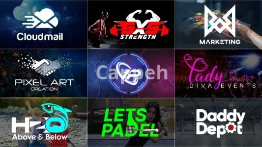 I will create a timeless business logo design and animation