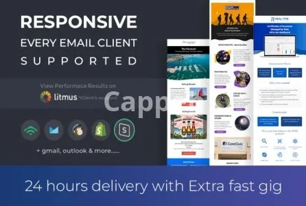 I will design responsive email template