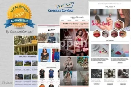 I will design professional constant contact email template