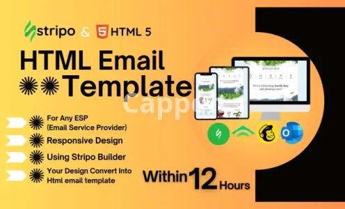 I will make professional email template using stripo and html
