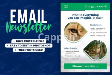 I will design email marketing template in PSD
