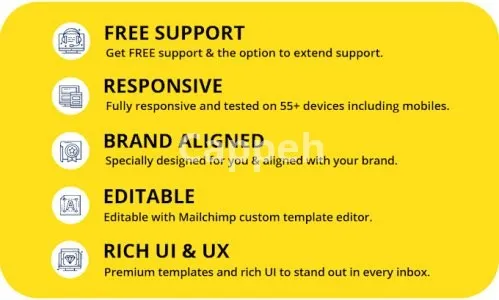 I will design and develop a brand aligned email and newsletter template