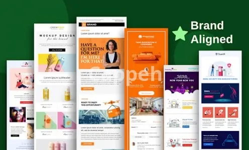 I will design and develop a brand aligned email and newsletter template