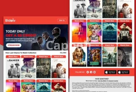 I will design editable responsive html email template, newsletter