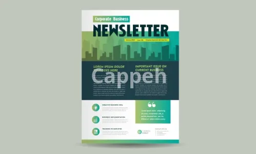 I will design professional canva newsletter