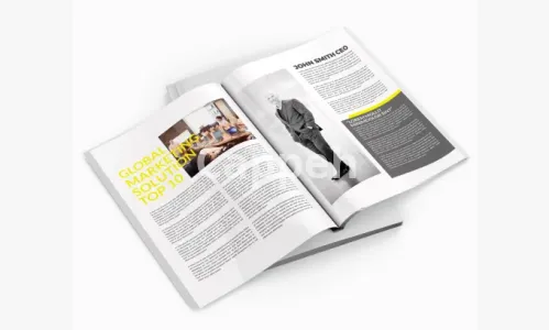 I will design professional canva newsletter