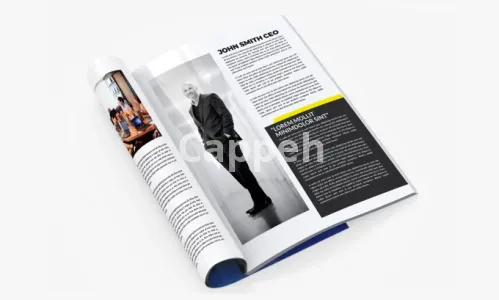 I will design professional canva newsletter