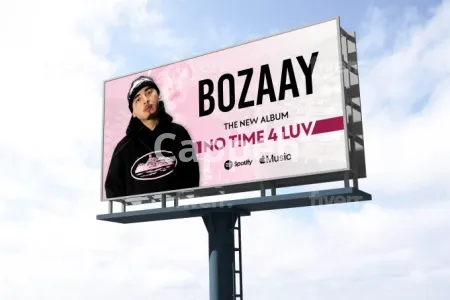 I will design professional roll up banner, billboards, signage