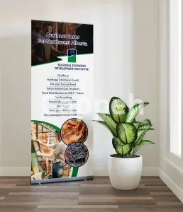 I will banner design, roll up banner, trade show banner