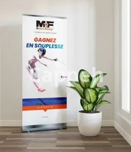 I will banner design, roll up banner, trade show banner