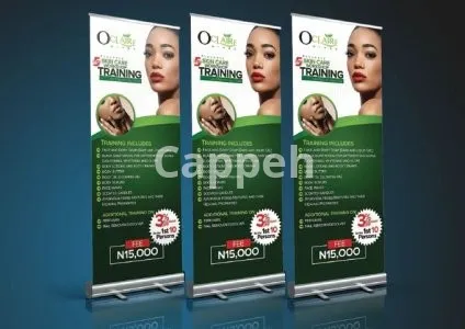 I will design retractable roll up banner or feather flag in 3 hours