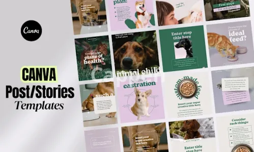 I will design post and story templates for instagram and facebook