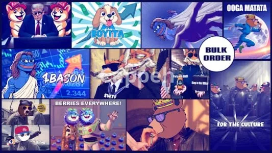 I will create crypto nft memes and meme coin videos