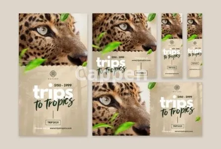 I will create premium quality web banner designs for you