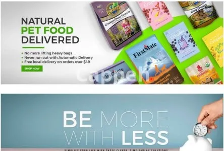 I will design epic banners posts for shopify wordpress website