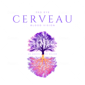 I will fix text and ai flaws , remove background and upscale to 300dpi