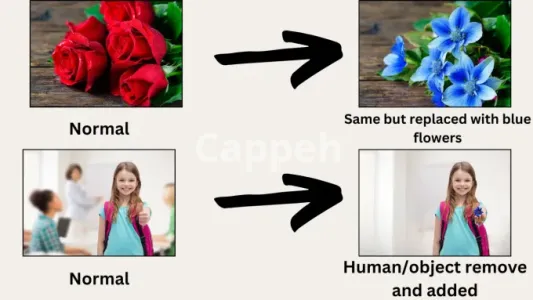 I will do anything related to image editing in less than 24h