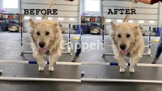 I will upscale and increase image quality to ultra HD 4k