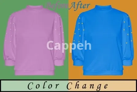 I will color change of anything very fast in photoshop