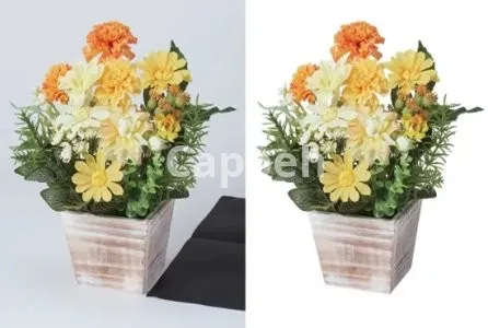 I will do 99 photo background removal and fast delivery