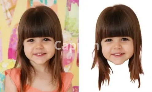 I will crop out 100 images head within 12 hours