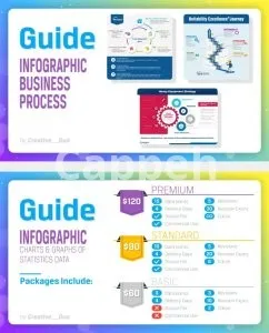 I will create a high quality infographic design process