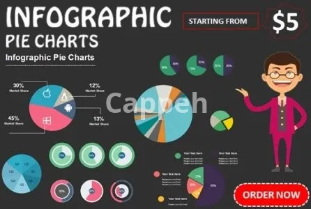 I will design infographic charts, graphs tables and diagrams