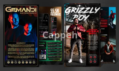 I will design music epk, media kit with clickable buttons