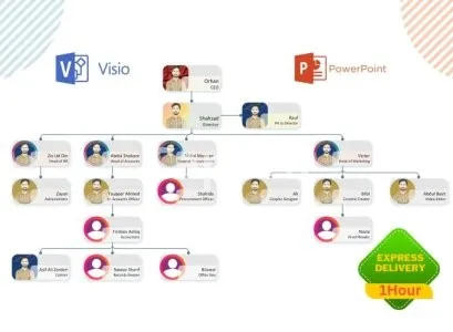 I will design an editable organization chart, organogram, flowchart