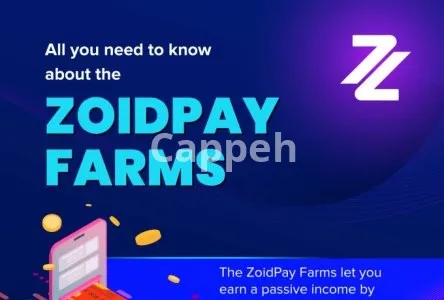 I will design professional infographic in canva, photoshop, illustrator