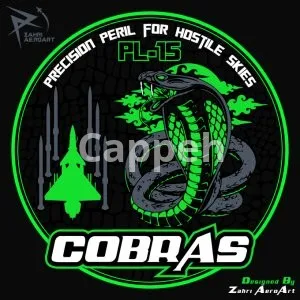 I will design your super airforce, military patches and logo