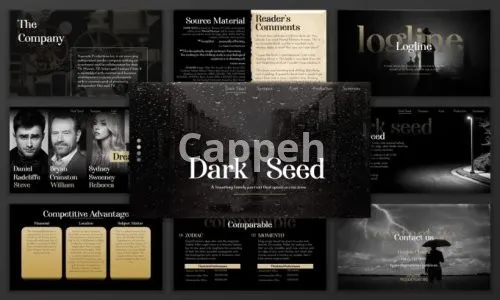 I will do a pitch deck presentation for your film, TV or web series