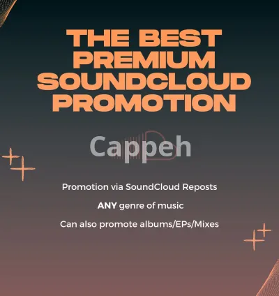 I will offer soundcloud promotion through reposts