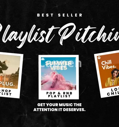 I will pitch your song to my personal network of spotify playlist curators