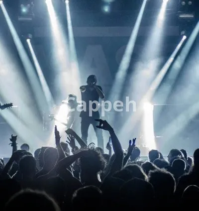 I will feature and promote your songs to a global audience of genuine music fans