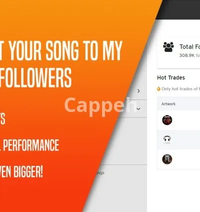 I will repost your song to an audience over 200 000 listeners