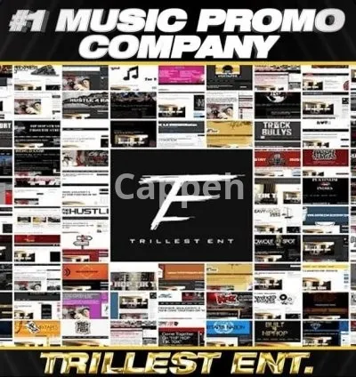 I will promote your music on 30 global hip hop music blogs