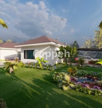 I will do landscape design for your outdoor space