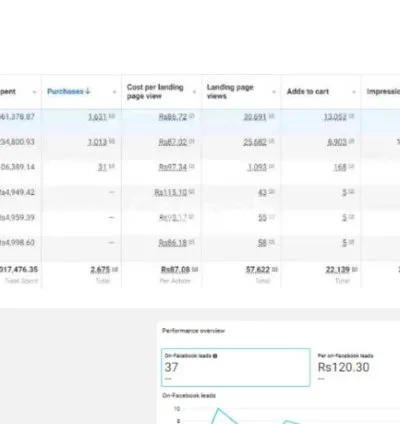 I will design shopify ecommerce store skincare fashion clothing restaurant beauty toys