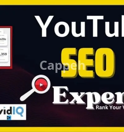 I will top rank youtube video SEO optimization, vidiq, tubebuddy