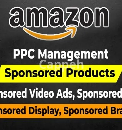I will optimize amazon PPC campaigns, setup sponsored ads manage fba PPC sales