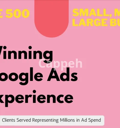 I will build, manage, optimize your google ads campaigns