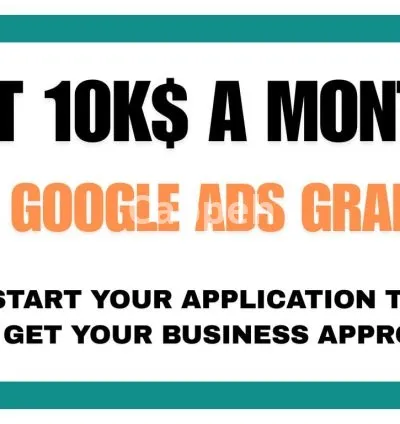 I will get approved ads grants for your business