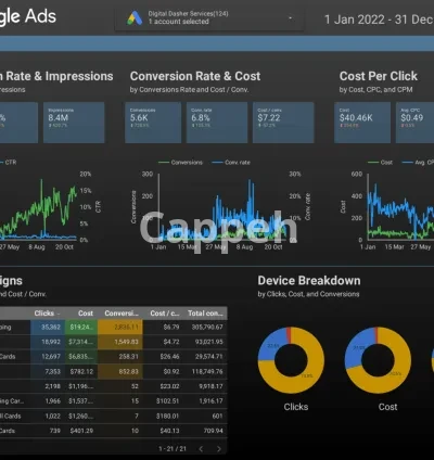 I will optimize your google ads campaign for ROI