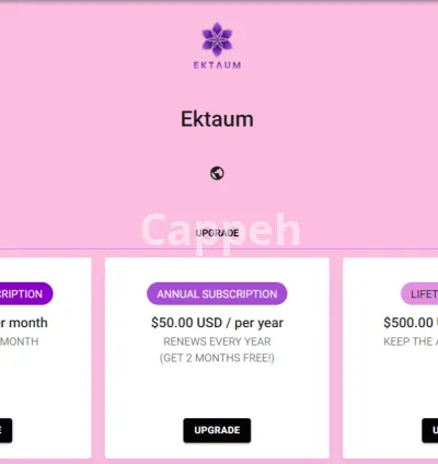 I will create a paid access membership subscription discord server