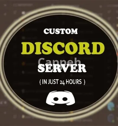 I will setup a professional custom discord server in 24 hours