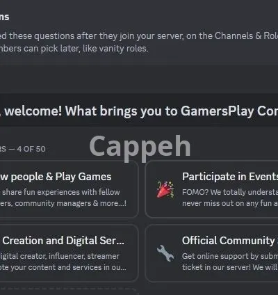 I will setup, manage, and moderate your discord server