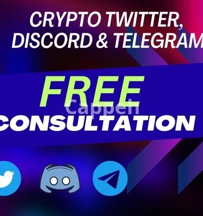 I will do nft crypto promotion on twitter and promote discord server